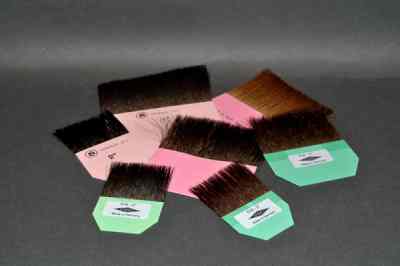 Gilders Tips